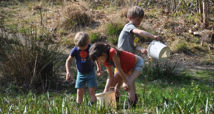 kiem-natuur-en-montessorischool