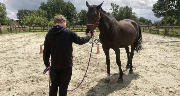 Nieuwe campagne: Zorgboerderij L'AURORE